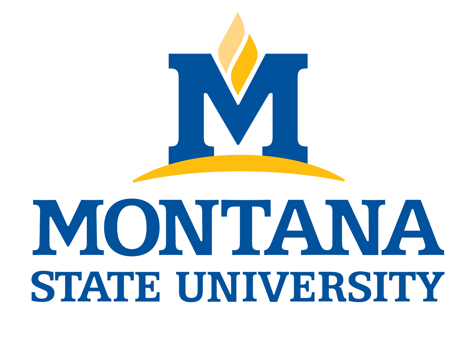 msu logo